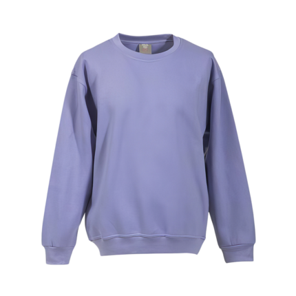 Gastro Sweatshirt Unisex