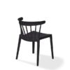 windson schwarz 2