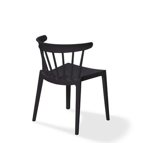 windson schwarz 2