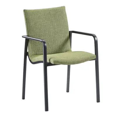 Dining Sessel POSITANO Anthrazit/Grün