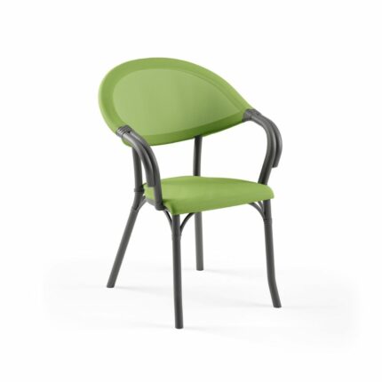 Sessel Flash-N | Anthrazit Gestell Grün 3045471